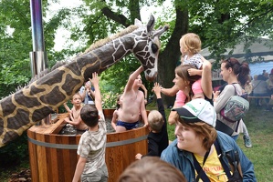 65248131 2710713685607999 1576005147954249728 o